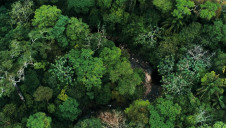 Deforestation will be mitigated through supply chain engagement, recycled material sourcing and investment in innovation